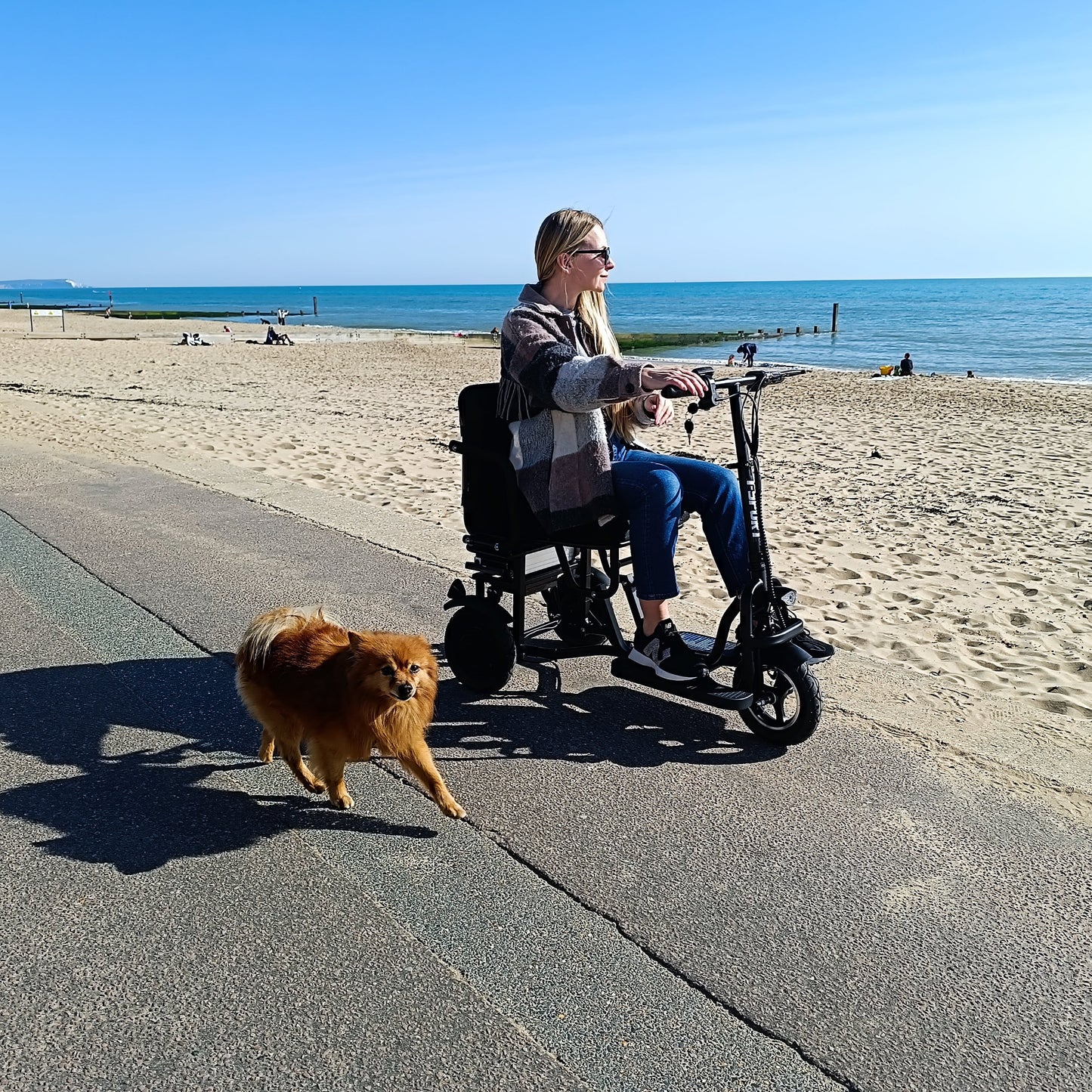 SCOTE-48350 Folding Mobility Scooter 3 Wheel Li-ion Dual Motor 700W, 20 Mile Range